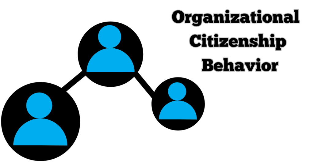 organizational citizenship behavior