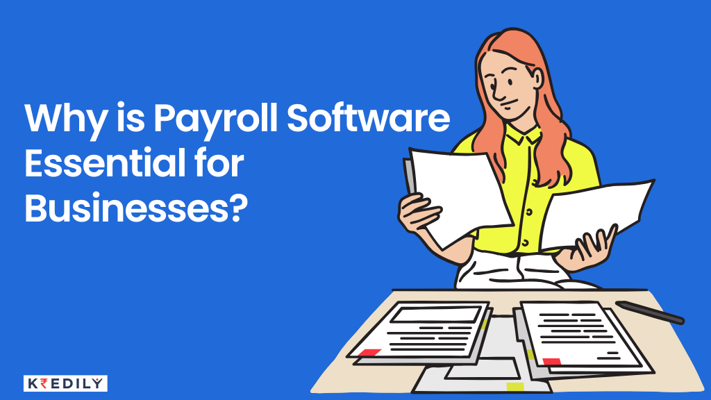 why payroll software is important for any business